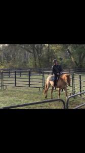 Darrell Dao - Daddy Toronto, Canada