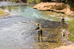 Dennis Buckner - Daddy Halifax, Canada