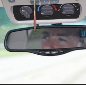 Don Daniels - Daddy Houston, USA