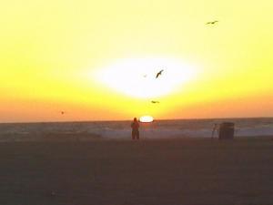 John Sanchez - Daddy Roshester, USA