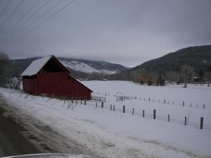 Reginald Fernandez - Daddy Seattle, USA