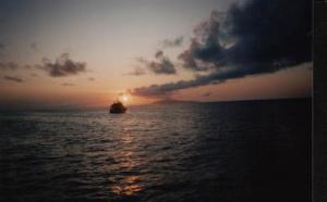 Robert Powell - Daddy Visalia, USA